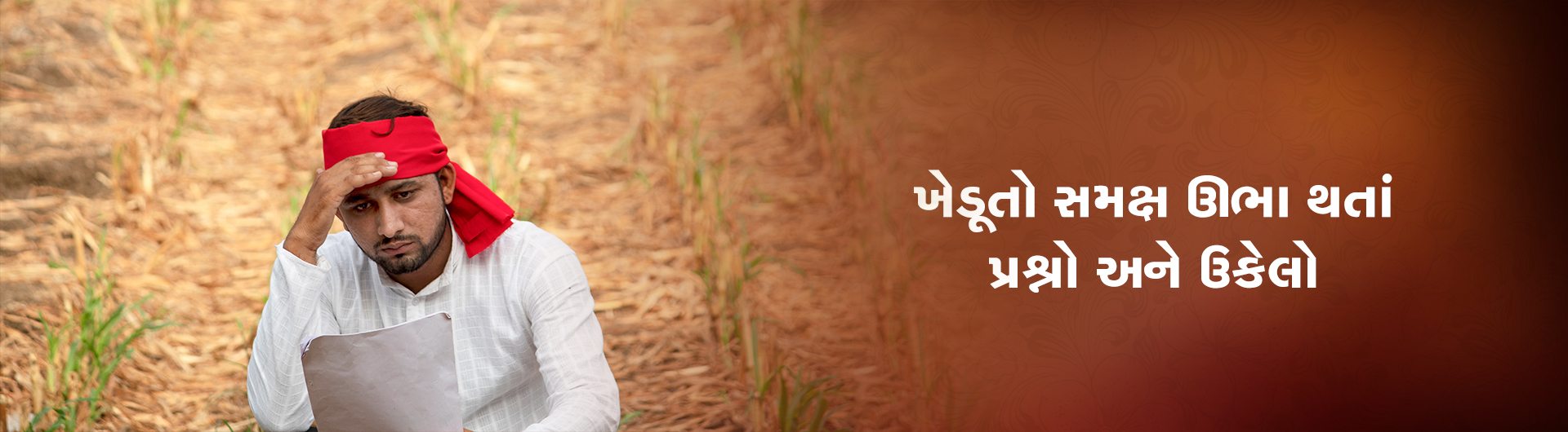 ખેડૂતો સમક્ષ ઊભા થતાં પ્રશ્નો અને ઉકેલો