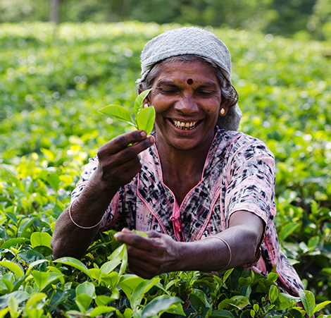 ರೈತರ ಥಂಬ್ನೇಲ್