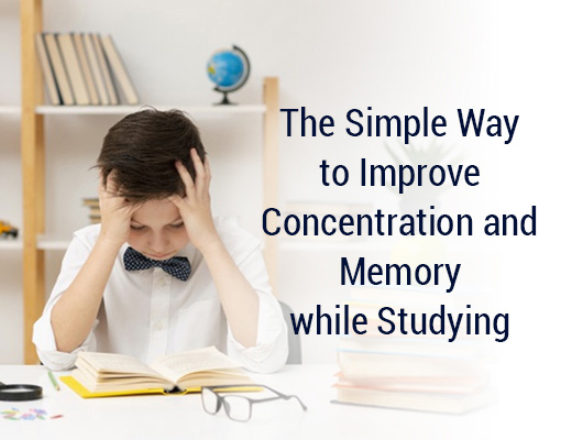 How to improve concentration while studying - Mindler Blog